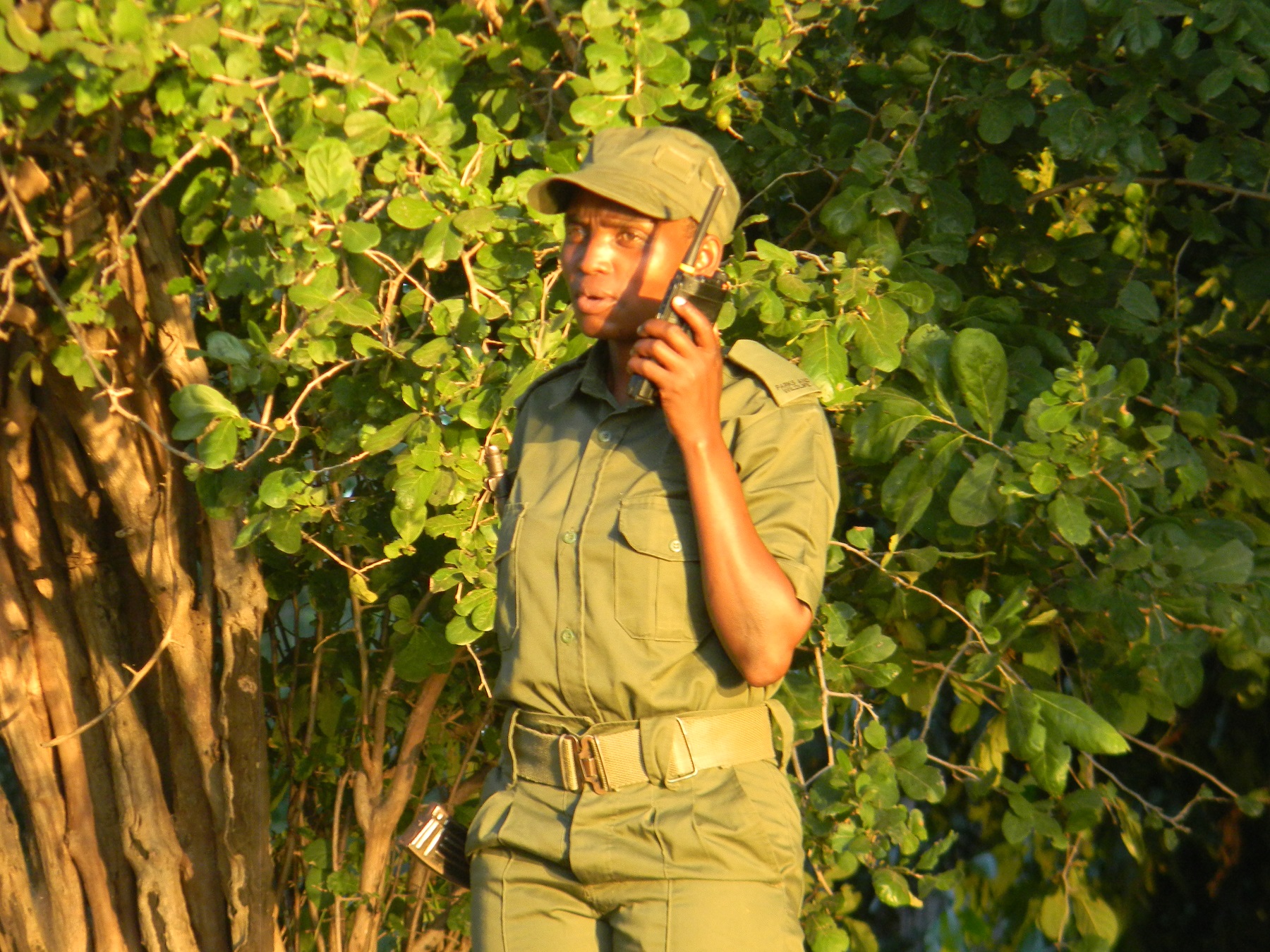 Wildlife Conservation on the Move: An Interview with Theressa Makunike from ZimParks