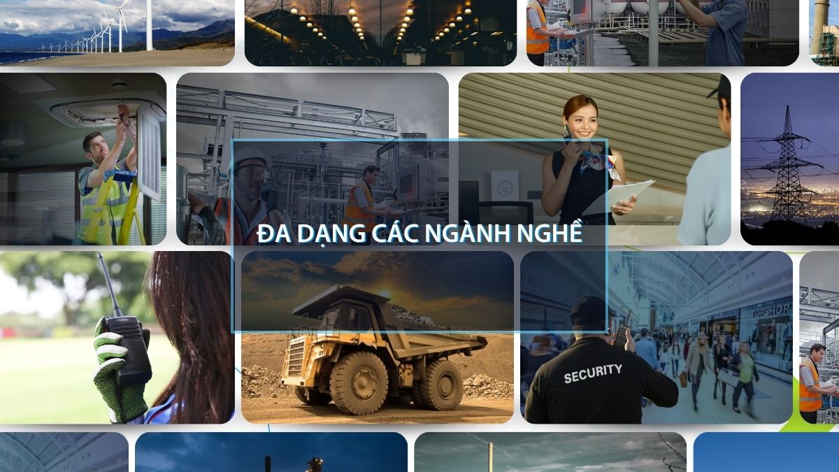 bo-dam-doanh-nghiep-1